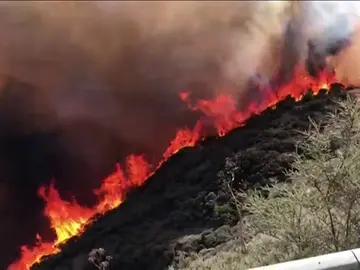 El incendio de Gran Canaria fue provocado El incendio de Gran Canaria fue provocado