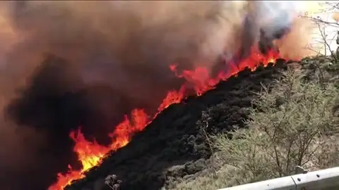 El incendio de Gran Canaria fue provocado El incendio de Gran Canaria fue provocado