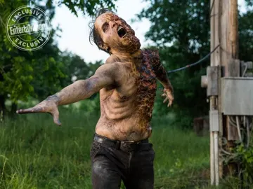 Octava temporada 'The Walking Dead' Octava temporada 'The Walking Dead'