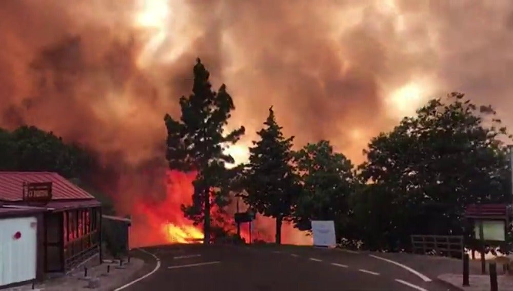 Los bomberos vuelven a la zona devastada por el fuego en Gran Canaria