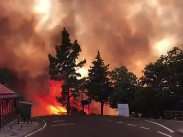 Los bomberos vuelven a la zona devastada por el fuego en Gran Canaria Los bomberos vuelven a la zona devastada por el fuego en Gran Canaria
