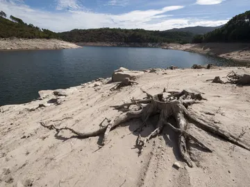 Aspecto que presentaba este domingo el embalse de Linsoso, en el municipio orensano de Lobios Aspecto que presentaba este domingo el embalse de Linsoso, en el municipio orensano de Lobios