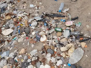 Basura recogida por algunos de los voluntarios Basura recogida por algunos de los voluntarios