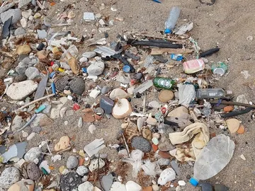 Basura recogida por algunos de los voluntarios Basura recogida por algunos de los voluntarios