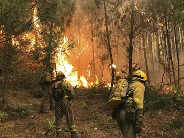 Cuatro focos intencionados causaron el fuego de 1.500 hectáreas de Ponteareas Cuatro focos intencionados causaron el fuego de 1.500 hectáreas de Ponteareas