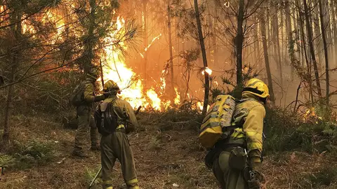 Cuatro focos intencionados causaron el fuego de 1.500 hectáreas de Ponteareas Cuatro focos intencionados causaron el fuego de 1.500 hectáreas de Ponteareas