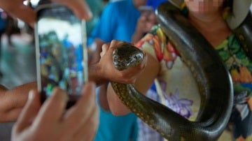Turistas sujetando a una serpiente para hacer una foto