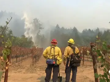 fuegoscalifornia fuegoscalifornia