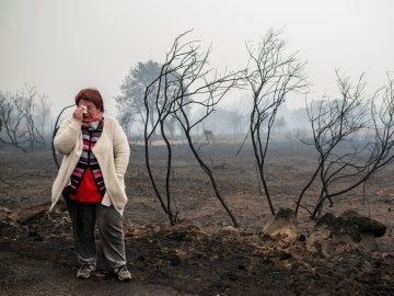Consecuencias de los incendios en Galicia