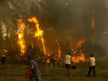 Las llamas arrasan Galicia Las llamas arrasan Galicia