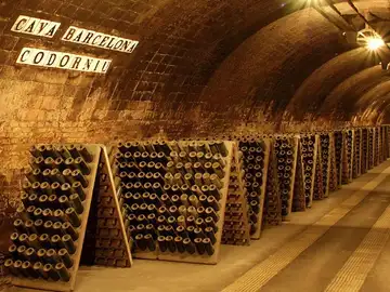 Cava Barcelona, Codorníu Cava Barcelona, Codorníu
