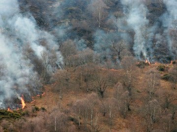 Los incendios en Asturias bajan a 27 