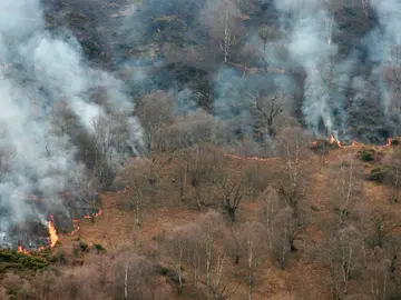 Los incendios en Asturias bajan a 27 Los incendios en Asturias bajan a 27