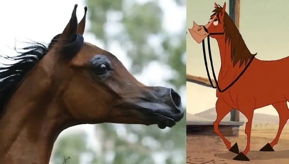 El Rey Magnum y un caballo Disney