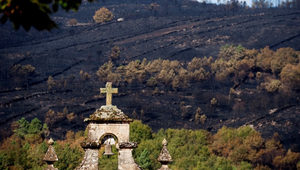 Paisaje calcinado por los incendios forestales