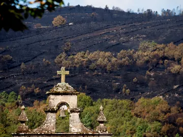 Paisaje calcinado por los incendios forestales Paisaje calcinado por los incendios forestales