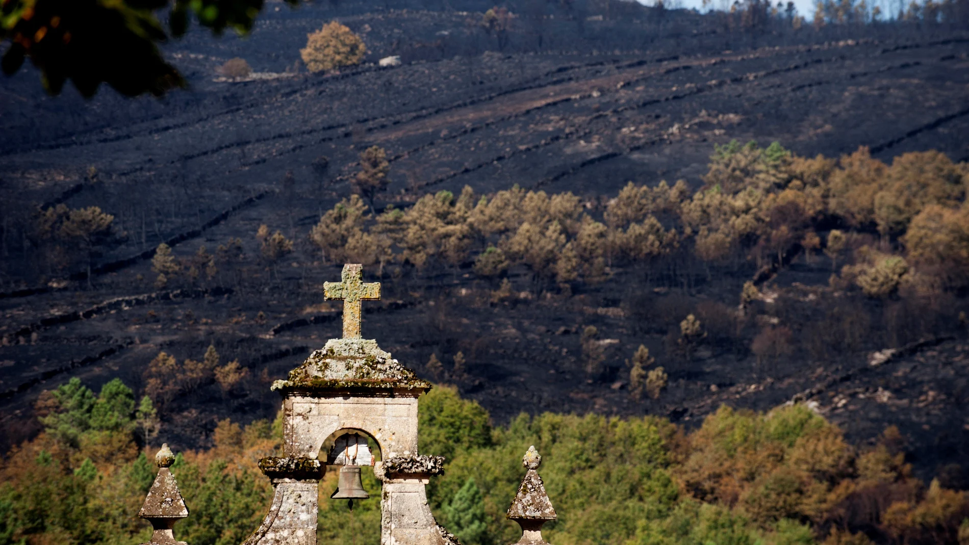 Paisaje calcinado por los incendios forestales Paisaje calcinado por los incendios forestales