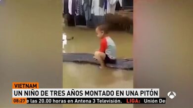 Unos padres dejan que su hijo de tres años juegue sobre una pitón de seis metros