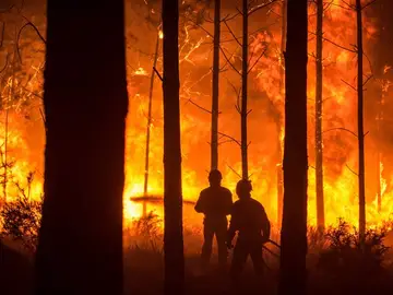 Un hombre lucha contra las llamas en un incendio forestal Un hombre lucha contra las llamas en un incendio forestal