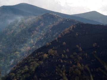 Vista general de los montes arrasados por el fuego 