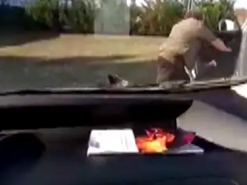 Un jabalí ataca a uno de sus rescatadores después de haberlo liberado de una balsa en Miñano Un jabalí ataca a uno de sus rescatadores después de haberlo liberado de una balsa en Miñano