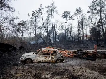 Incendios en Galicia Incendios en Galicia