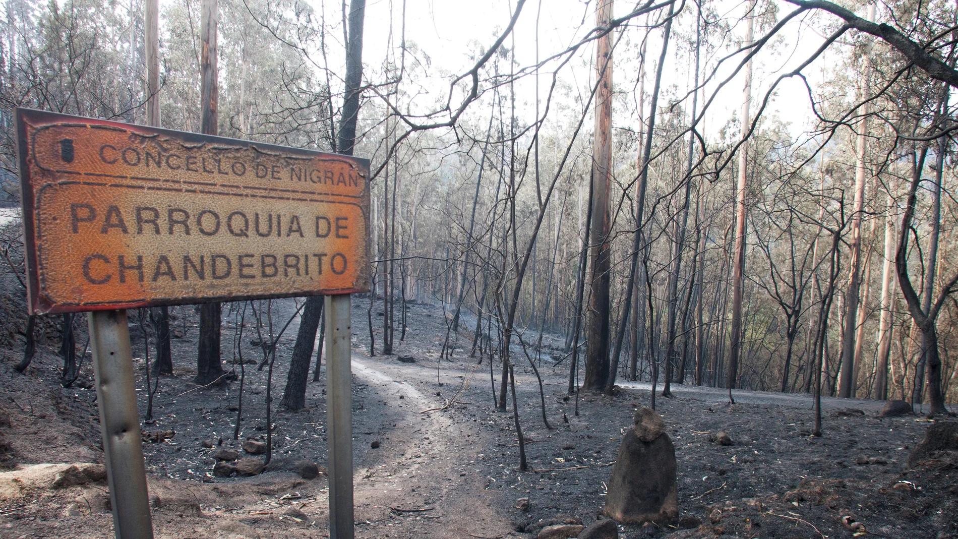 La carta de desesperación de un policía que trabajó en el incendio de Galicia La carta de desesperación de un policía que trabajó en el incendio de Galicia