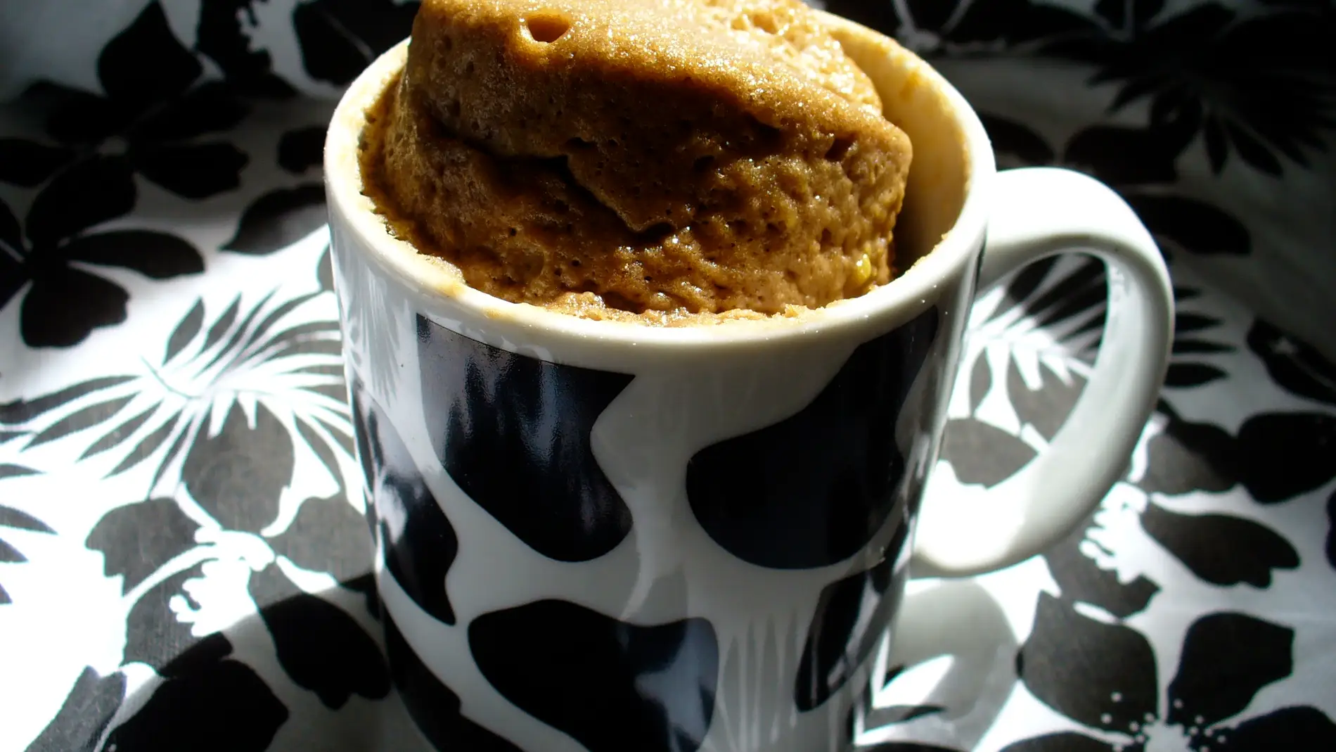 mugcake