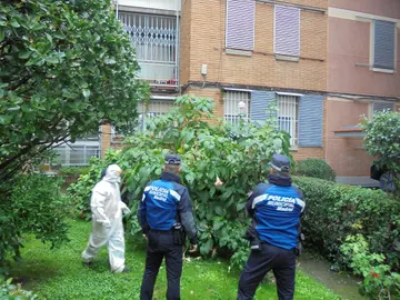 Imagen de la policía retirando las plantas Imagen de la policía retirando las plantas