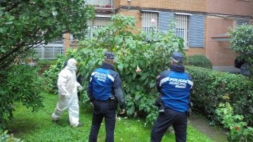 Imagen de la policía retirando las plantas