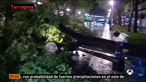 LLUVIAS LLUVIAS