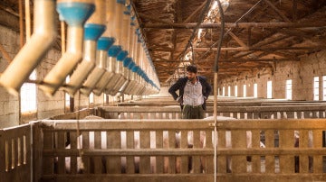 Matadero Matadero