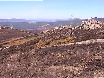 Los incendios dejan a los ganaderos en una situación crítica Los incendios dejan a los ganaderos en una situación crítica