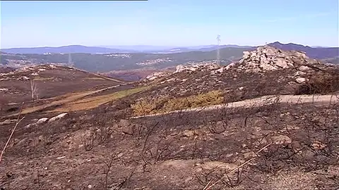 Los incendios dejan a los ganaderos en una situación crítica Los incendios dejan a los ganaderos en una situación crítica