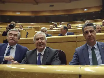 Los senadores del Grupo Popular Los senadores del Grupo Popular