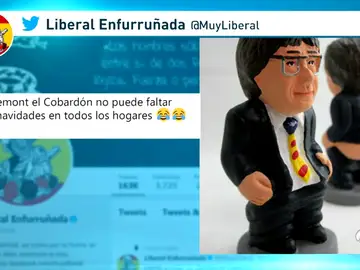 MEMES MEMES