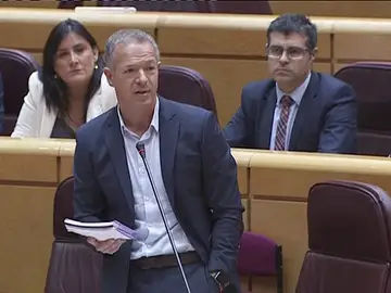 El PSOE retira la enmienda para frenar el 155 por el avance de JxSi hacia la república catalana El PSOE retira la enmienda para frenar el 155 por el avance de JxSi hacia la república catalana