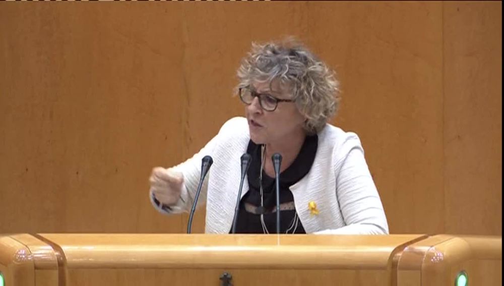 Mireia Cortés, ERC