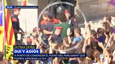 Las imágenes de la detención de Álvaro de Marichalar en la plaza de Sant Jaume