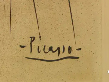 picassook picassook