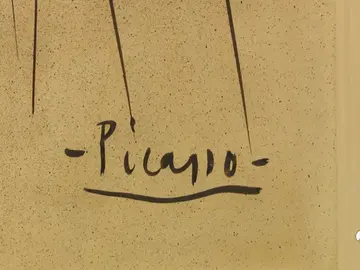 picassook picassook