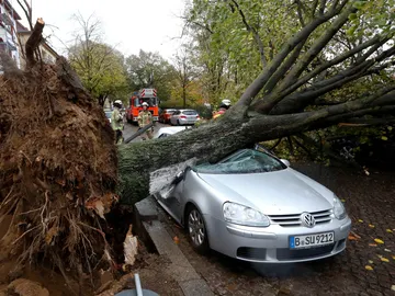 Graves daños en un coche tras la caída de un árbol por el temporal en Berlín Graves daños en un coche tras la caída de un árbol por el temporal en Berlín