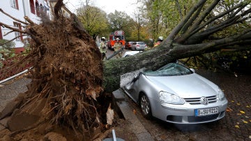 Graves daños en un coche tras la caída de un árbol por el temporal en Berlín