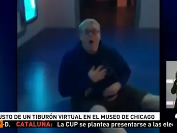 susto tiburon susto tiburon