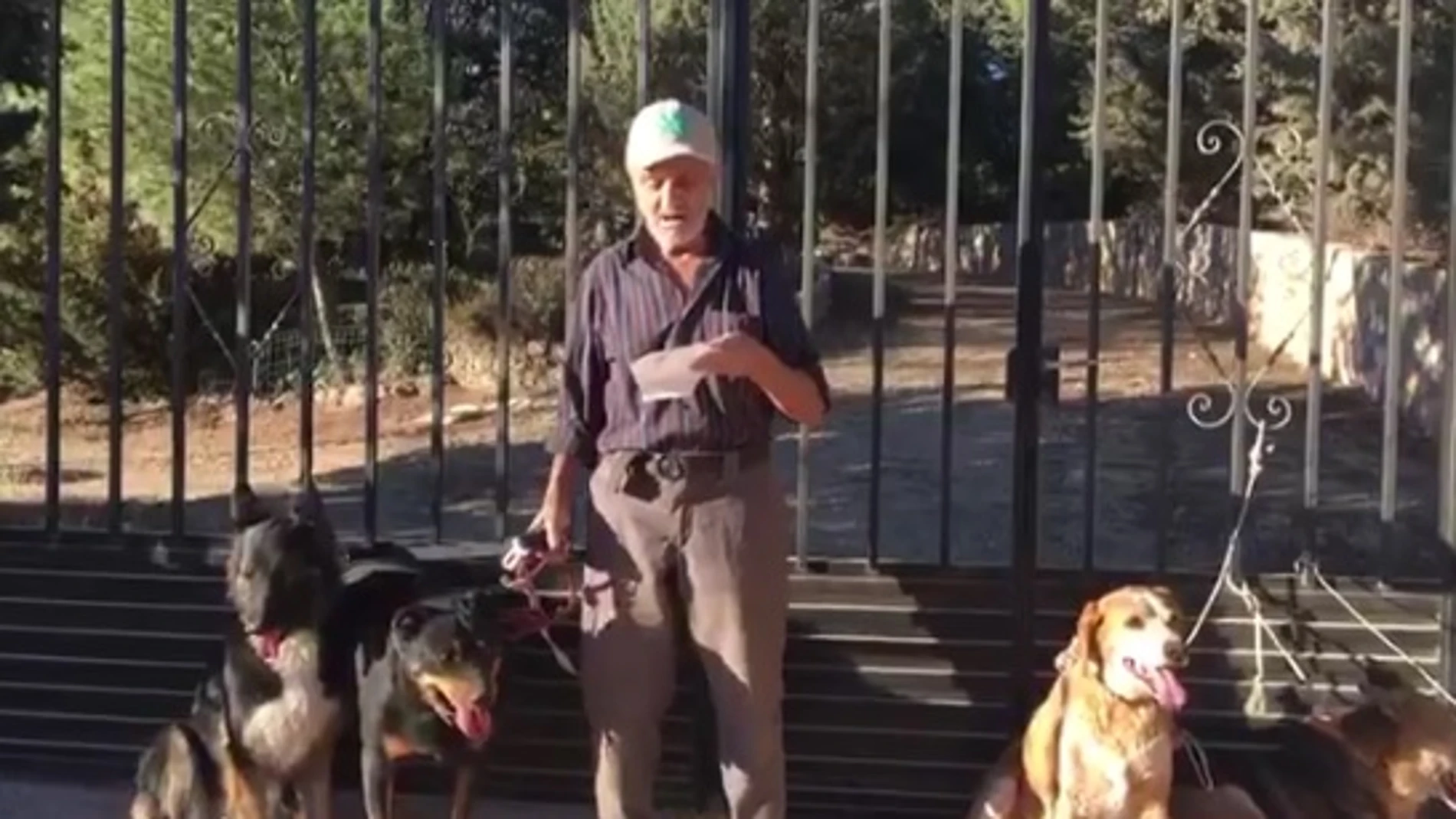 La conmovedora petición de un hombre con cáncer que busca dueño para sus perros La conmovedora petición de un hombre con cáncer que busca dueño para sus perros