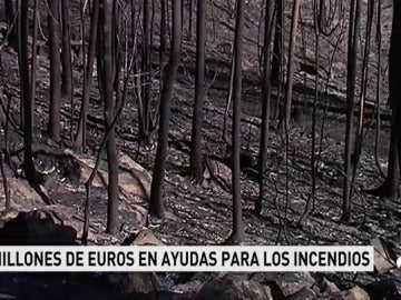 AYUDAS INCENDIO