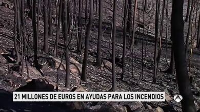  La Xunta da un plazo de un mes para solicitar las ayudas por fallecimiento en la ola de incendios