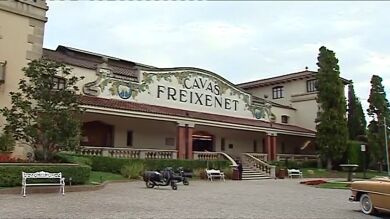 Freixenet decide mantener la sede en Cataluña tras la aplicación del artículo 155