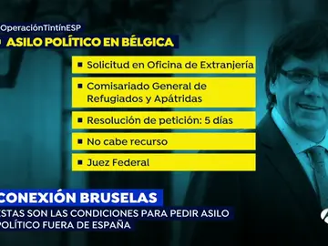 ¿Qué condiciones se deben dar para pedir asilo político fuera de España? ¿Qué condiciones se deben dar para pedir asilo político fuera de España?