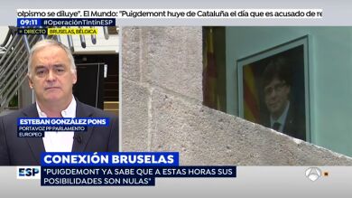 González Pons: 